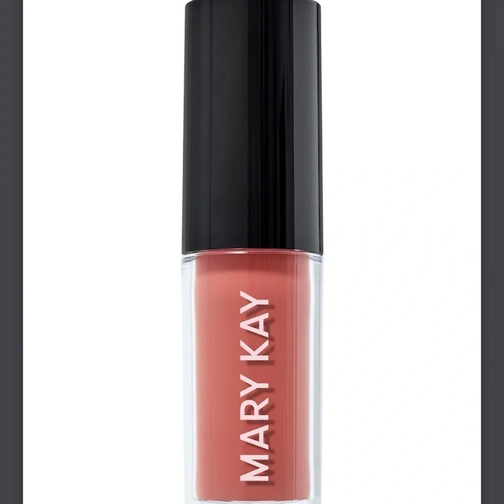 Mary Kay Limited Edition Tinted Lip Oil Blush Rose New in Box